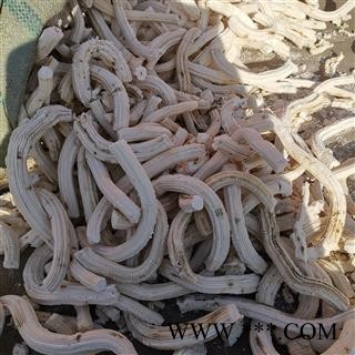 小丽百草行向日葵髓 向日葵花盘图2