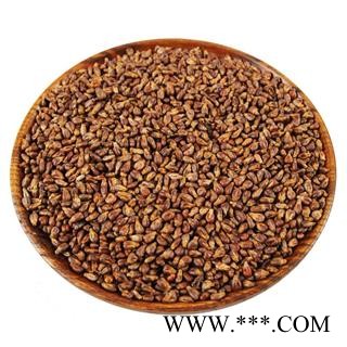 新疆 葡萄籽 葡萄子图4