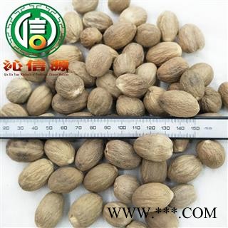 【满包邮】肉豆蔻个子统货散装广西产地直供肉豆叩沁信源中药批发图2