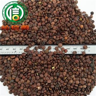 【满包邮】酸枣仁炒货统货散装山东产地直供炒酸枣仁 山东枣仁 怀枣仁 炒枣仁沁信源中药批发图2