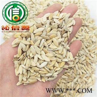 【满包邮】黄瓜子选货散装安徽产地直供黄瓜籽沁信源中药批发图3