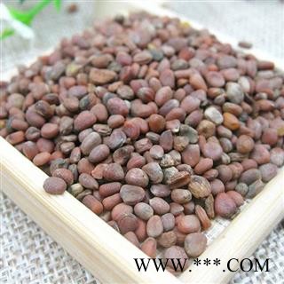 莱菔子 莱菔子统货 产地 山东 华美中药 产地直销 重在品质图2