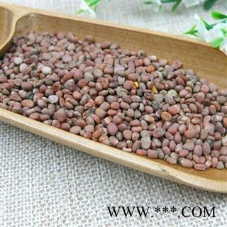 莱菔子 莱菔子统货 产地 山东 华美中药 产地直销 重在品质图3