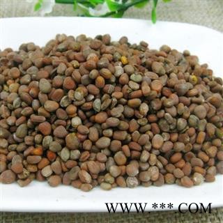 莱菔子 莱菔子统货 产地 山东 华美中药 产地直销 重在品质图4