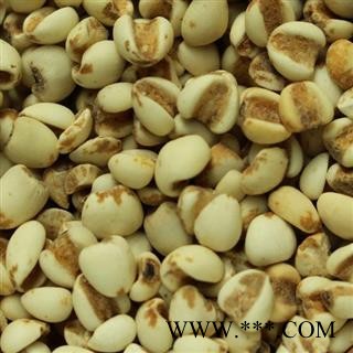 薏苡仁 进口薏苡仁95米 产地 海外 华美中药 产地直销 重在品质图3