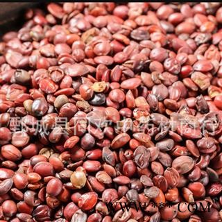 【正品国产炒酸枣仁】@【同欢药材】中药材批发供应  规格齐全 量大从优 产地 山东省图2