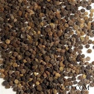 吉康药业白花菜籽白花菜子百花菜子 羊角菜 屡析草 臭花菜 臭豆角 猪屎草 五梅草 白花仔草图2