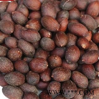 吉康药业葵树子 蒲葵子 葵扇子统 产地 广西图2