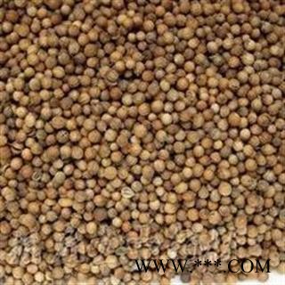 吉康药业香菜籽 荽籽胡荽籽 芫荽籽中药材香料调料大全图2