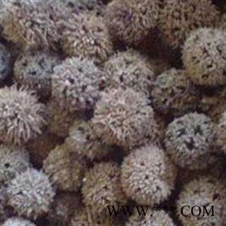 路路通、枫实、枫果、枫木上球、枫香果、狼目、狼眼、九空子、枫木球支持药检供应饮片厂，药厂量大从优重在品质吉康药业图2