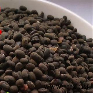 吉康药业野料豆 零乌豆 马料豆 黑豆细黑豆 马豆图2