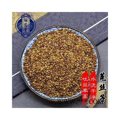 川大菟丝子菟丝子茶
