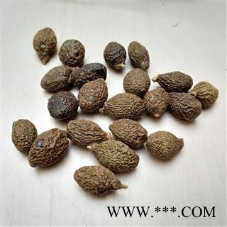 胖大海 圆果选货 产地 海外图2