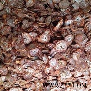 槟榔 统货 产地 广西壮族自治区图2