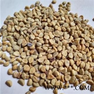 牵牛子 牵牛子白丑统货 产地 安徽省图3