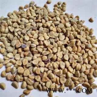 牵牛子 牵牛子白丑统货 产地 安徽省图2