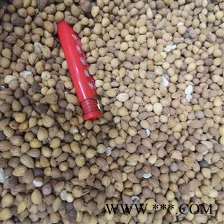 郁李仁 郁李仁统货 产地 内蒙古自治区图4