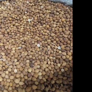 郁李仁 郁李仁统货 产地 内蒙古自治区图2