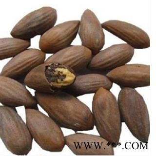 榧子 榧子选货 产地 浙江省图2