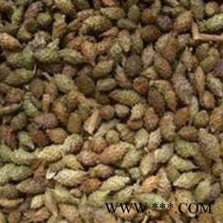 苍耳子 苍耳子统货 产地 内蒙古自治区图2