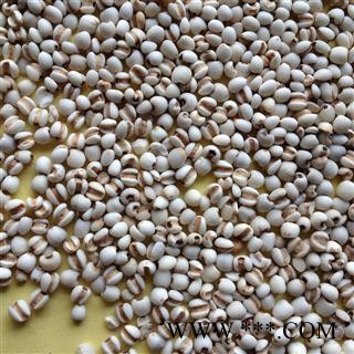 小粒薏苡仁  薏仁米  薏米 95货 好货无硫   量大电议 产地 贵州省图2