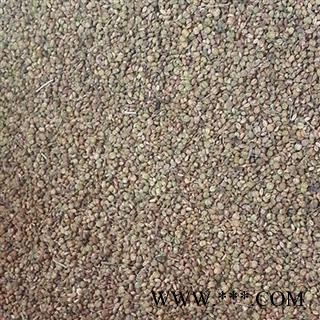 小丽百草行新货莳萝子 莳萝籽石罗子石落子石落籽图2