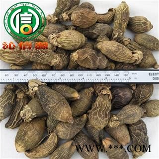 【满包邮】槟榔果个子统货散装青海产地直供枣槟榔 壳槟榔沁信源中药批发图2