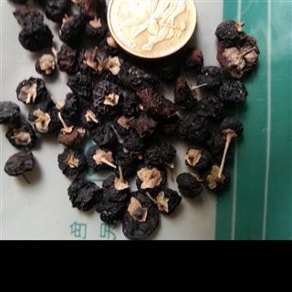 小丽百草行枸杞 黑枸杞青海15天无理由退货图1