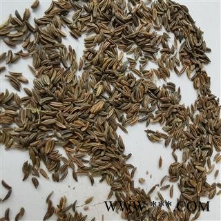 吉康药业 藏茴香 葛缕子今年新货有大货量大从优图2