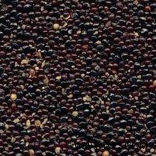 吉康药业青箱子 青葙子 牛尾花子 狗尾巴子图2