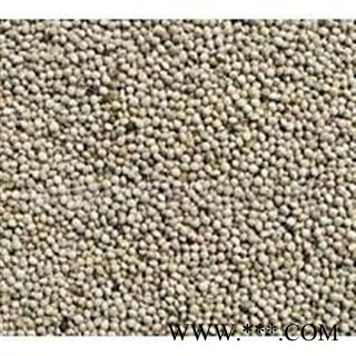 白苏子 白苏子净货 产地 江苏省 批发各种冷背中草药个子图2