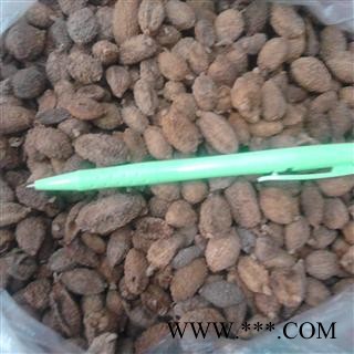 砂仁 进口壳砂仁 2020统货 产地 缅甸图2