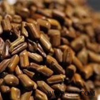 决明子  草决明 好统货 山东地产药材 颗粒饱满 产地 山东省图2