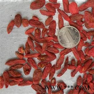 枸杞 宁夏枸杞440一般货  没有枸杞叶子 颗粒分明 地道好货 产地 宁夏回族自治区图2