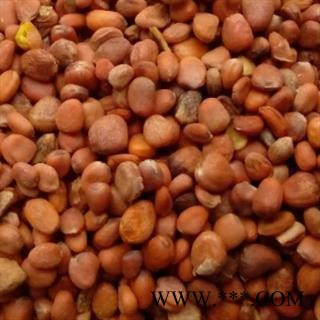 莱菔子 莱菔子统货 产地 山东省图2