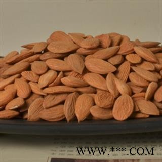 桃仁 扁桃仁选货 产地 山东省图3