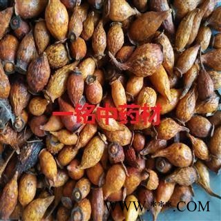 金樱子 金樱子后期统货 产地 江西省图2