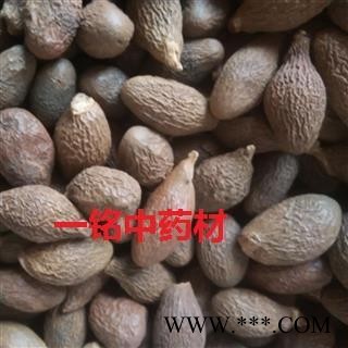 胖大海 胖大海长粒选货 产地 河北省图1