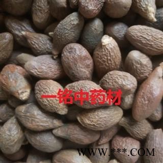 胖大海 胖大海长粒选货 产地 河北省图2