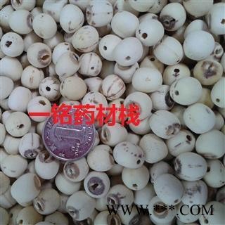 白莲子 湖南湖北空心磨皮白莲子98货 产地 湖南省湘潭市湘潭县图2