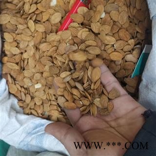 桃仁 桃仁统货 产地 山东省图4