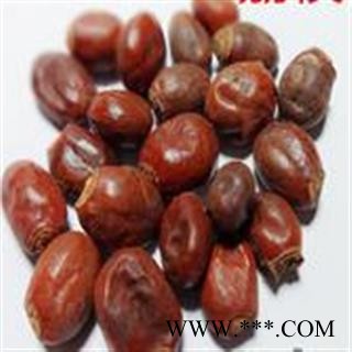 小丽百草行中药材荔枝核 无硫 产地广西图2