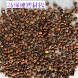 莱菔子 炒莱菔子  今年新货  产地 广西图2