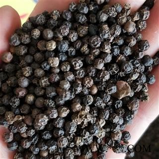 黑胡椒 选装黑胡椒 产地 广西壮族自治区图2