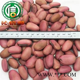 【满包邮】大红刀豆个子统货散装广西产地直供批发刀豆籽沁信源中药批发图2