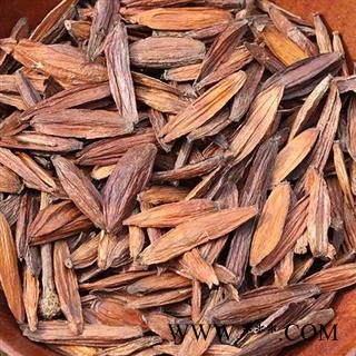 小丽百草行喜树果 千丈树、水栗子图2