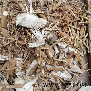 中药材 楮树根图2