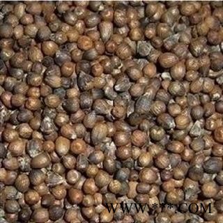 吉康药业中药材牡荆子 小荆实 牡荆实 荆条果 黄荆子 统货图2