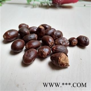 荔枝核 荔枝核统货 产地 广西壮族自治区图2