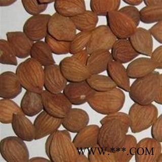 杏仁 苦杏仁统货 产地 山东省图2